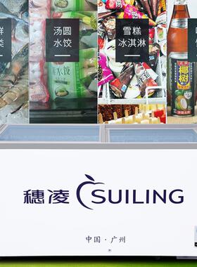 穗凌冰柜商用展示柜冷藏冷冻卧式小型雪糕柜推拉门养鱼水柜冰箱
