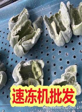 大型氟利昂速冻机牛羊肉屠宰厂冷冻设备螺杆机组低温冻机
