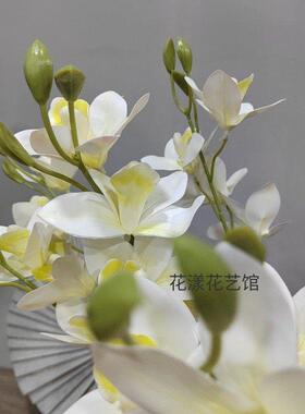 彷真5叉带叶蕙兰花3D底片兰花客厅摆放盆栽花卉家居装饰假花插花