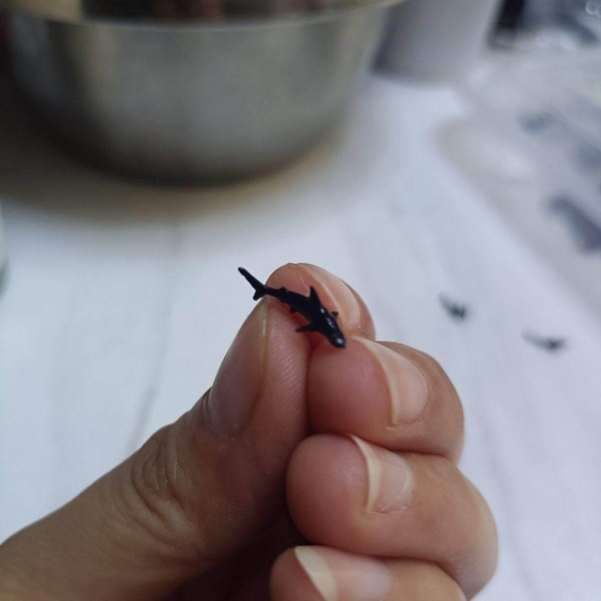 微缩道具鲸鳄鲨鱼锤头鲨大白迷你鱼缸摆件微缩景观配件diy高级小,淘宝优惠券,粉丝福利购,淘宝优惠卷