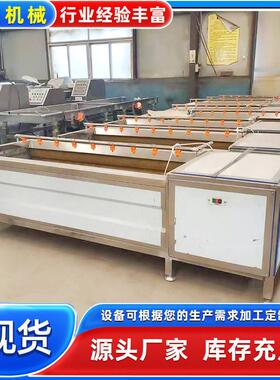 商用自动化连续式毛辊清洗机 海鲜去泥清洗机 牡蛎生蚝清洗机设备