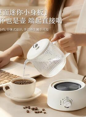 全玻璃养生壶办公室小型电炖杯一人养生杯保温煮茶壶烧水杯煮茶器