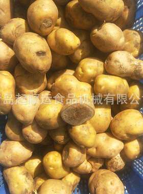 土豆去皮机土豆脱皮机土豆削皮机不锈钢土豆清洗去皮机