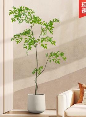 大型客厅落地摆件室内沙发电视柜旁边假植物南天竹彷真绿色植物摆