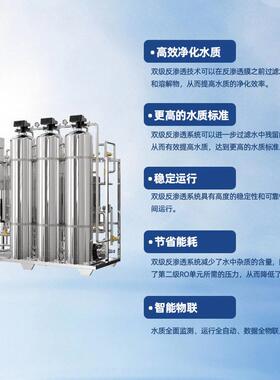 0.25吨/小时双级反渗透七级过滤净水设备工业纯水商用机净水器