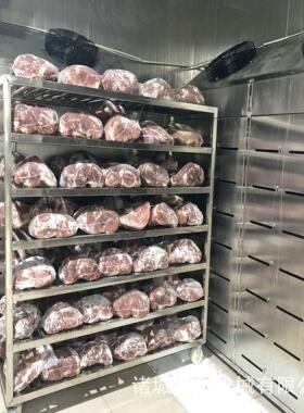 多功能低温高湿解冻机 大型牛肉猪肉羊肉化冻设备 冻鸡胸肉缓化库