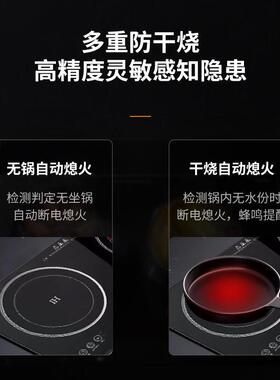 跨境110V出口嵌入式电磁炉双灶双炉家用一电一陶大功率多头电陶炉