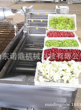 供应全自动杨梅清洗机 商用食品加工流水线 净菜加工设备诺鼎机械