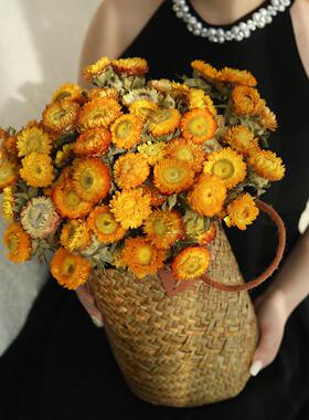 小雏菊干花花束天然风干真花客厅摆设云南麦秆菊鲜花客厅装饰摆件