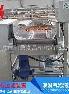 润鼎机械红枣气泡清洗高效设备果蔬多功能气泡清洗机