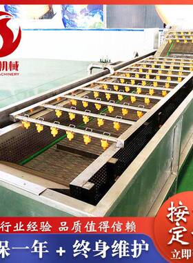山东食品机械哪家好 苹果气泡清洗机诸城俞洋机械厂家供应