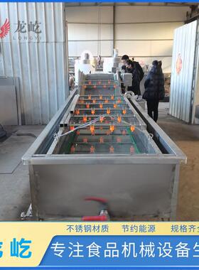 商用全自动气泡清洗机水果蔬菜翻浪式大型洗菜机设备气泡清洗机