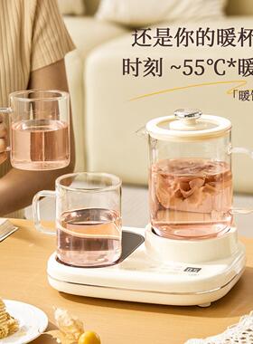 办公室小型养生壶茶炉电小WW-A37你茶壶m电陶炉烧水壶一人i煮ni迷