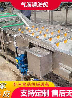 工厂用果蔬气泡清洗机竹笋鼓泡翻浪清洗机鲜花生去泥沙气泡清洗机
