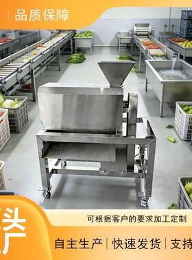 全自动通道打浆机可机使用红枣桃杏浆果去核制浆机械设备