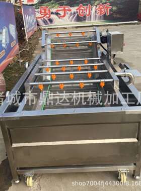 厂家供应豆角气泡清洗机包装袋喷淋式清洗设备全自动酱菜清洗机