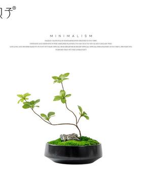 新中式茶真花艺室永生装YB-DZ-HY饰品样板间餐厅几仿茶软装桌面摆