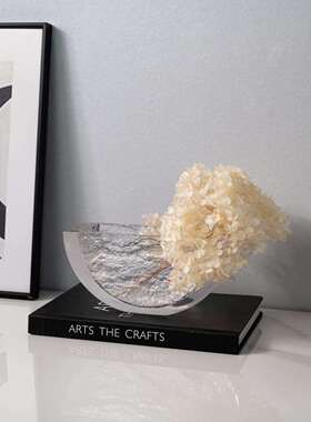 代奢现高端花轻瓶摆件半圆花器小摆F75SS855干花艺透明样板间餐桌