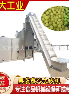 源头工厂蒸汽去皮机薯类果蔬极速去皮食品加工低耗成套设备