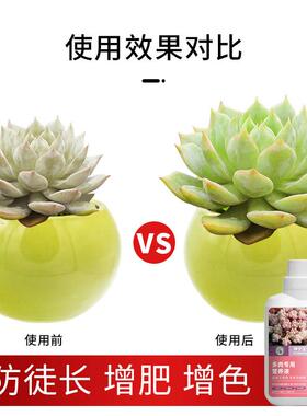 多肉营养液专用肥肉肉增色生根肉多多花肥料家用盆栽通用型水溶肥