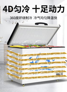 定制商用冰柜大容量卧式冷藏柜保鲜冷冻柜两用小冷柜小型双温冰箱