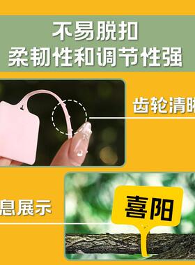 园艺标签T型多肉植物花卉地插牌塑料防水园艺苗木定制花盆标识牌