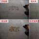 Runjie ມື push unpowered sweeper ກອງປະຊຸມອຸດສາຫະກໍາຂະຫນາດນ້ອຍ sweeper ສູນຍາກາດຊັບສິນ sweeper ປະເພດ 980