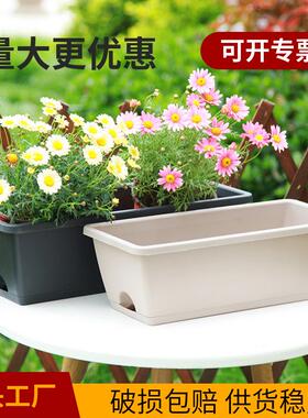 长方形霍伦霍伦阳台种花种菜花瓶