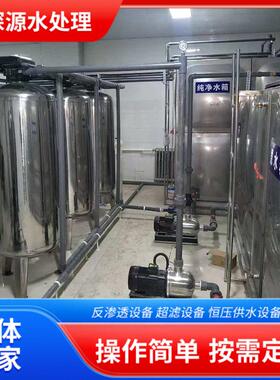 工业反渗透纯水生产设备大型超滤反渗透水处理设备双级反渗透设备