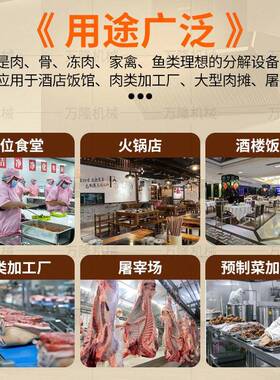 不锈钢电动肉类切割机多功能冷冻骨切肉机广东食品加工锯骨机厂家