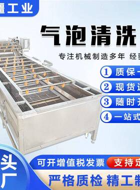 自动化鲜花生浸泡清洗机东北酸菜脱盐机连续式沙棘果清洗设备