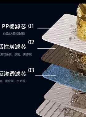 多档调温厨下净热一体机智能净化加热二合一净水器家用直饮净饮机