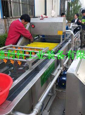 山野菜气泡清洗机蘑菇菌类连续鼓泡清洗机黄桃草莓果蔬清洗机