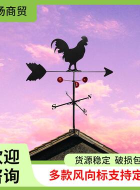不锈钢飞鹰女巫风向标庭院摆件户外园林铁艺工艺品欧式铁艺工艺