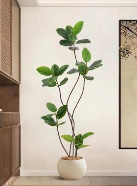 大型客厅落地摆件室内沙发电视柜旁边假植物黑金刚橡皮树彷真绿色
