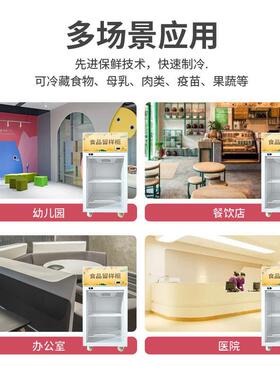 冷藏保鲜幼儿园食品留样柜带锁餐厅食堂家用小冰箱商用展示留样柜