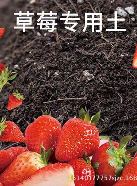 草莓专用种植泥土采摘园阳台盆栽养花通用有机育酸性苗土营养肥料