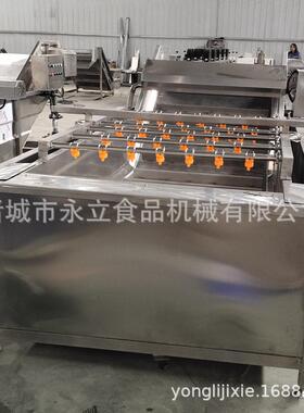 全自动果蔬气泡清洗机 不锈钢翻浪清洗设备 叶菜类清洗加工流水线