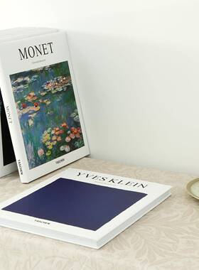 现在简约仿真油画书样板间售楼处书房书柜装饰品摆件翻页摄影道具