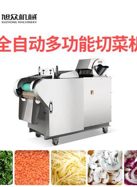 全自动商用切菜机多功能黄瓜胡萝卜切丝切块机不锈钢碎菜机设备
