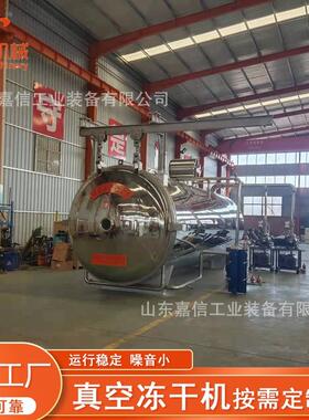 东南亚水果真空冻干机柠檬片榴莲肉果蔬真空冻干机厂家银杏冻干机