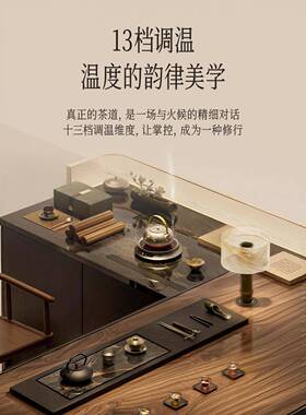 尚朋堂电陶炉煮茶壶烧水壶泡茶专用2026新款玻璃煮茶器围炉茶炉