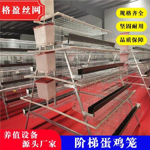 河北安平鸡笼厂家零售各种鸡笼冷热镀锌鸡笼自动喂料 - 图0