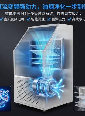 商用炸炉排油烟净化一体机炸鸡炸串双缸电炸油炸炉油烟净化器