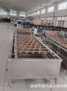 全自动高压喷淋式果蔬清洗机大型商用农药残留净化气泡清洗机