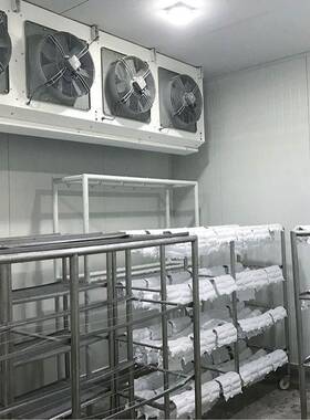 商用多品类食品速冻机 包子水饺面食 小龙虾鲍鱼海产品专用急冻设