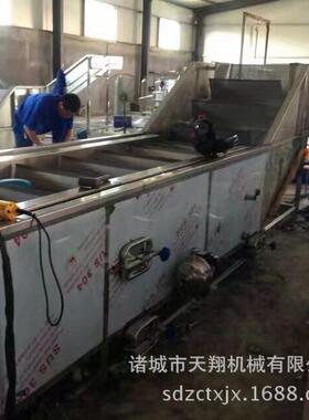 天翔供应蔬菜清洗机 全自动气泡清洗机 水果蔬菜清洗机