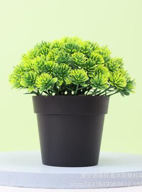 仿真盆景假花装饰迷你植物盆栽室内桌面人造花卉摆件塑料绿植