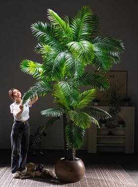 大型高端轻奢散尾葵彷真绿色植物彷生假树凤尾竹植物室内热带造景