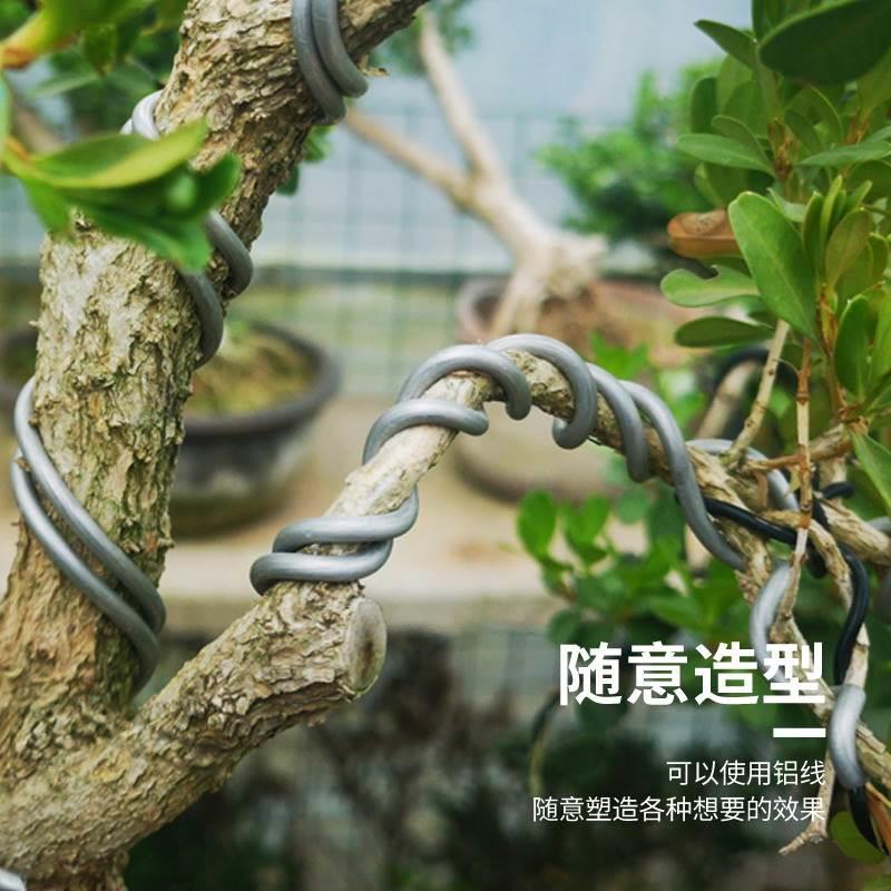 盆景造型铝丝植物造型软铁线园艺树木定型软铝线花木固定攀扎扎丝 - 图0